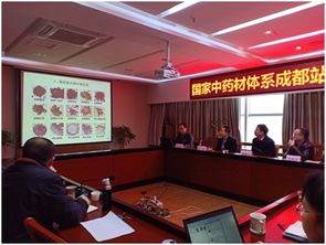 四川省農業科學院 國家中藥材體系成都試驗站川芎育種與栽培技術研討會成功舉行