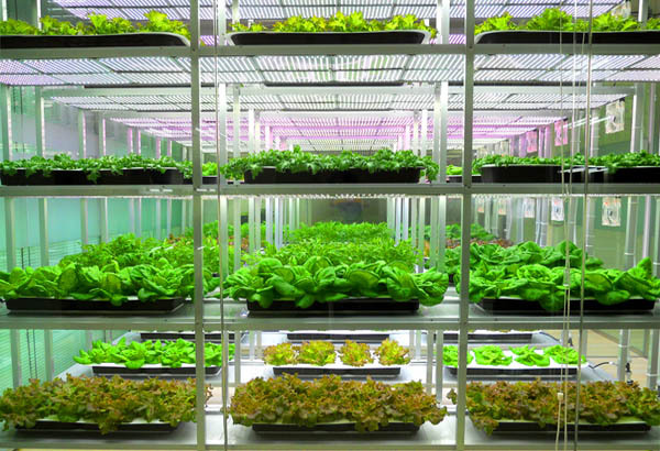 聚云位智攜手農業大學共建實驗室，智慧農業邁入新階段