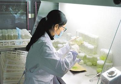 產業興 鄉村美 農民樂——深耕農業科研繪就鄉村振興新畫卷