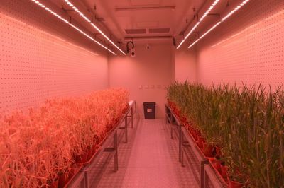 創新驅動，沃野生金 農業科研賦能中部地區高質量發展