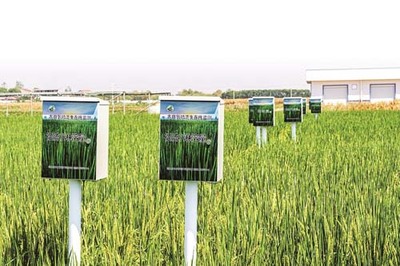 省農科院鄂州基地 現代科技賦能，感受農業發展的堅實底氣