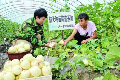 十三五開局之年 經濟社會發展平穩，農業科研試驗發展邁出新步伐